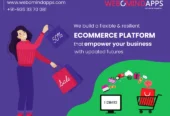 Webomindapps website development agency