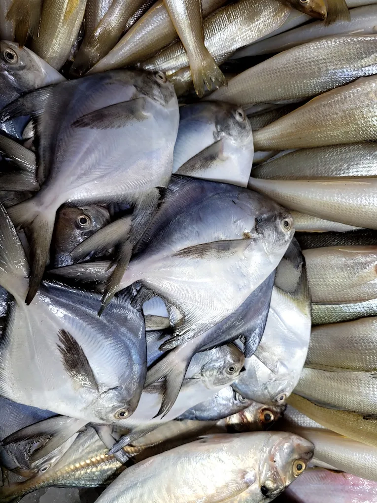 Mangalore Fish Mart