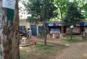 Nandini Milk Parlour