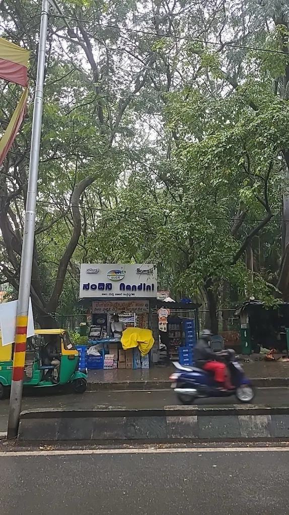 Nandini Dairy products