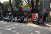 Irani Std Tea (Irani Chai)