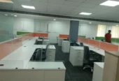 Digital Spider, Digital Marketing Agency