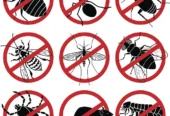 JV Care Pest Control