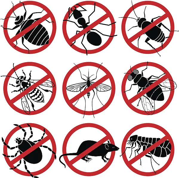 JV Care Pest Control