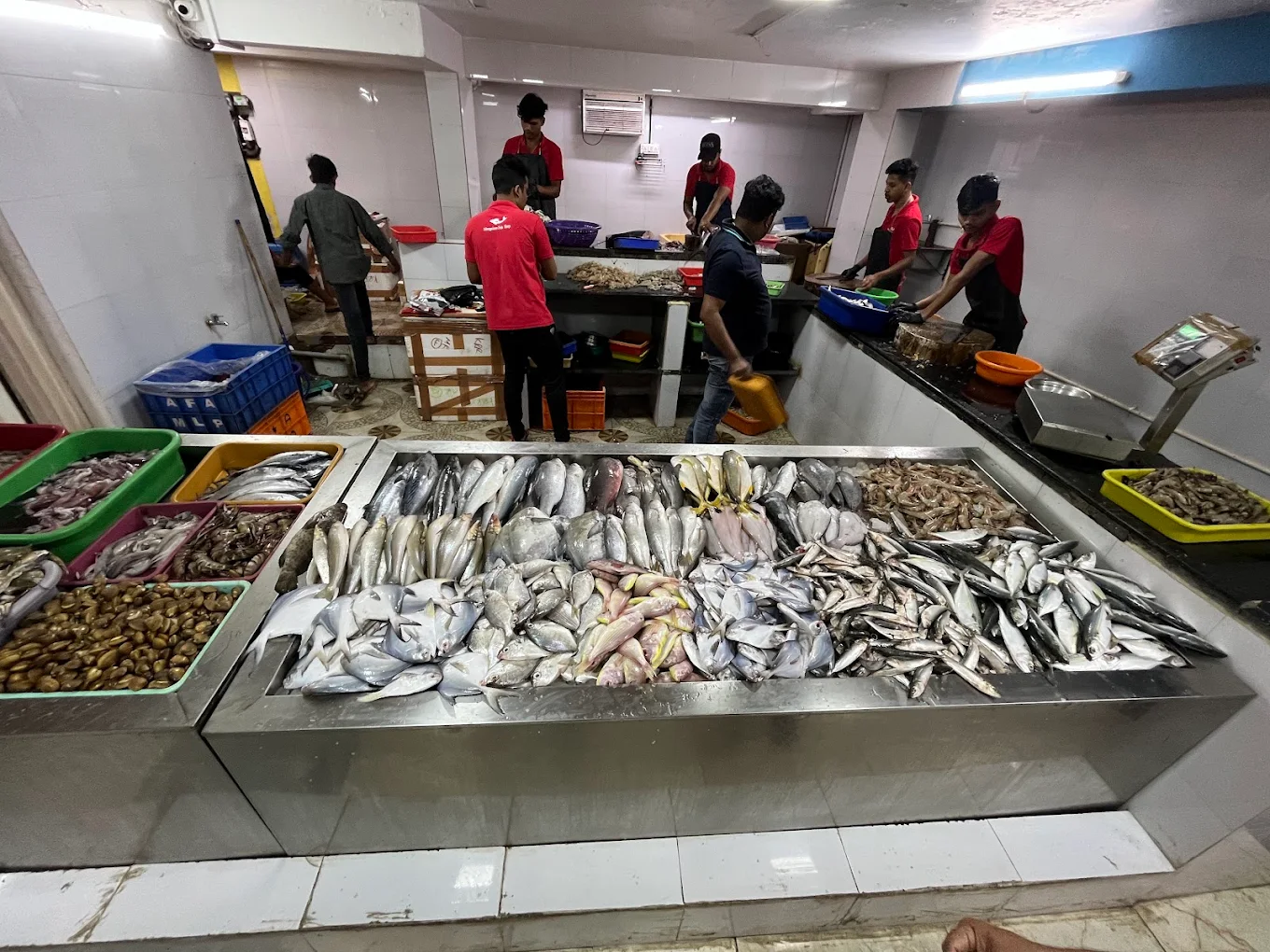 Mangalore Fish Mart