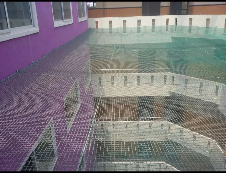 lvs bangalore safety nets