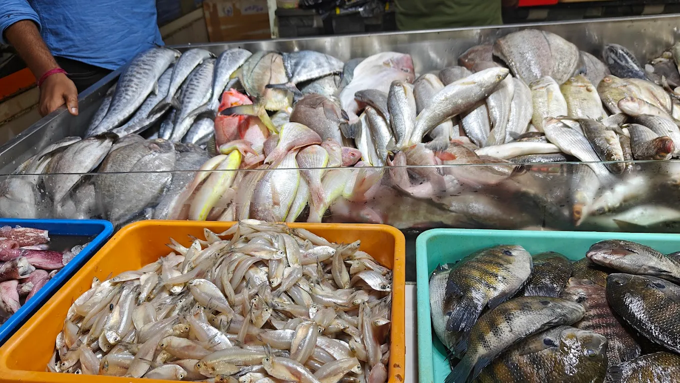 Mangalore Fish Mart