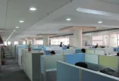 Digital Spider, Digital Marketing Agency