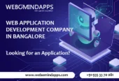 Webomindapps website development agency